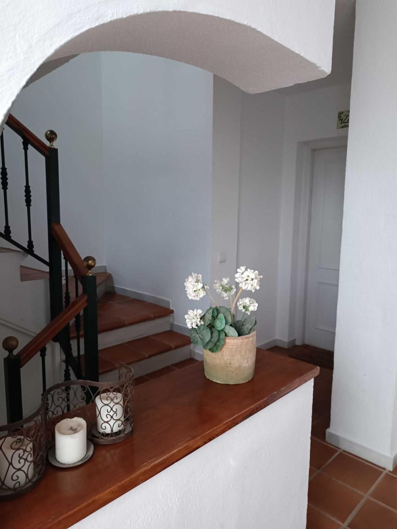 Apartamento En Paraiso Al Mar Appartamento *
